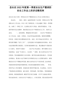 县长在2022年度第一季度安全生产暨消防安全工作会上的讲话稿范例