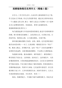 观察植物菊花优秀作文（精编3篇）
