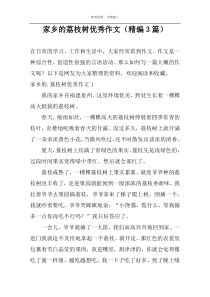 家乡的荔枝树优秀作文（精编3篇）