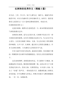 红树林的优秀作文（精编3篇）