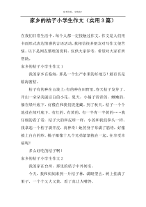 家乡的桔子小学生作文（实用3篇）