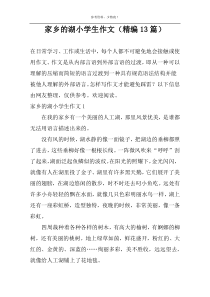 家乡的湖小学生作文（精编13篇）