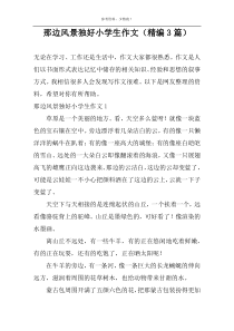 那边风景独好小学生作文（精编3篇）
