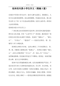桂林的风景小学生作文（精编3篇）