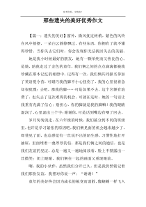 那些遗失的美好优秀作文