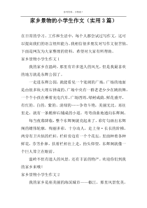 家乡景物的小学生作文（实用3篇）
