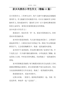 家乡风景的小学生作文（精编11篇）