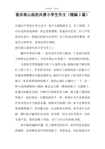 留在我心底的风景小学生作文（精编3篇）