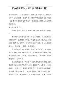 家乡的田野作文300字（精编12篇）