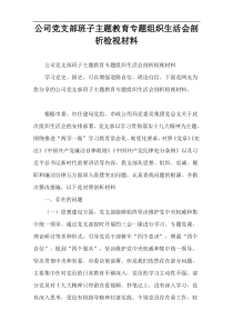 公司党支部班子主题教育专题组织生活会剖析检视材料