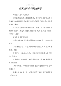 外贸出口公司简介例子