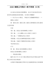 2022-钢铁公司简介-例子样例 (5页)