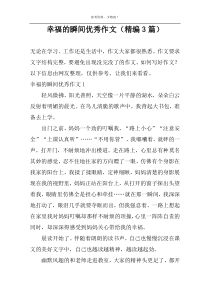 幸福的瞬间优秀作文（精编3篇）