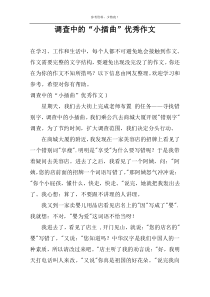 调查中的“小插曲”优秀作文