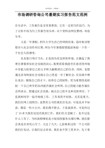 市场调研咨询公司暑期实习报告范文范例