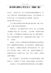 放风筝比赛的小学生作文（精编3篇）
