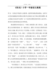 《阳光》小学一年级语文教案