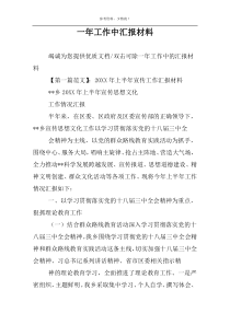 一年工作中汇报材料
