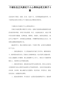 干部队伍正风肃纪个人心得体会范文例子5篇