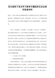 党支部班子党史学习教育专题组织生活会剖析检查材料