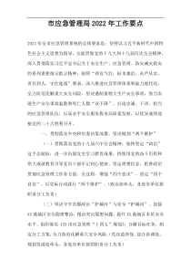 市应急管理局2022年工作要点