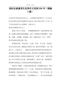我的自画像男生优秀作文范例500字（精编3篇）