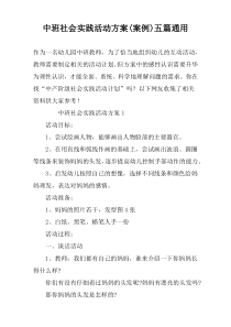 中班社会实践活动方案(案例)五篇通用