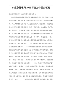 市应急管理局2022年度工作要点范例