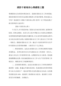 消防干部培训心得感悟三篇