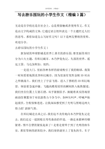 写去游乐园玩的小学生作文（精编3篇）