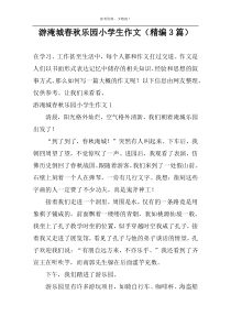 游淹城春秋乐园小学生作文（精编3篇）