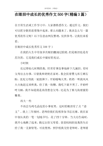 在眼泪中成长的优秀作文500字（精编3篇）