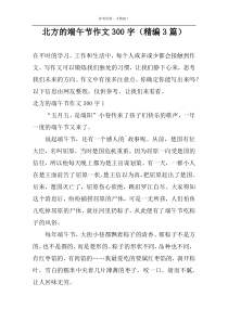 北方的端午节作文300字（精编3篇）