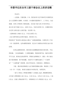 市委书记在全市三级干部会议上的讲话稿