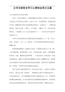 公司支部党史学习心得体会范文五篇