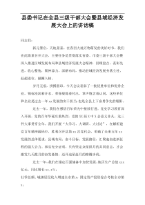 县委书记在全县三级干部大会暨县域经济发展大会上的讲话稿