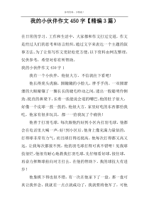 我的小伙伴作文450字【精编3篇）