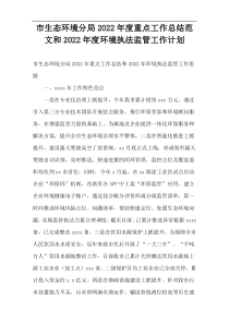 市生态环境分局重点工作总结范文和2022年度环境执法监管工作计划
