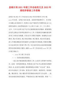 县统计局2021年度工作总结范文及2022年度经济普查工作思路