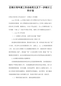 【精编】区统计局工作总结范文及下一步统计工作计划