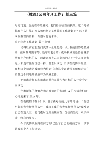 (推选)公司年度工作计划三篇