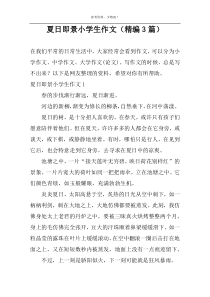 夏日即景小学生作文（精编3篇）