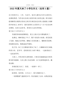 2022年夏天来了小学生作文（实用3篇）