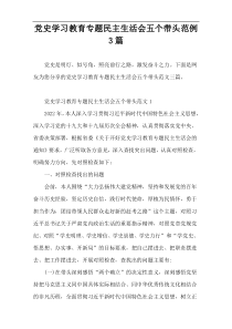党史学习教育专题民主生活会五个带头范例3篇