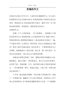 灵魂的作文