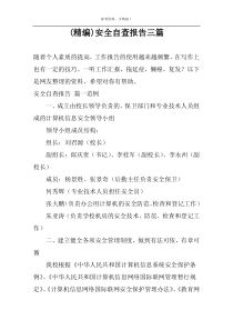 (精编)安全自查报告三篇