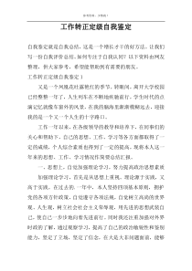 工作转正定级自我鉴定