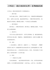小学语文课件《我们奇妙的世界》优秀教案范例