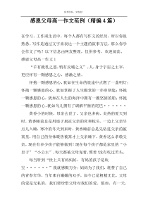 感恩父母高一作文范例（精编4篇）