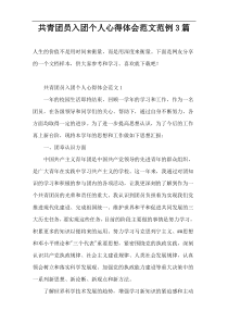 共青团员入团个人心得体会范文范例3篇